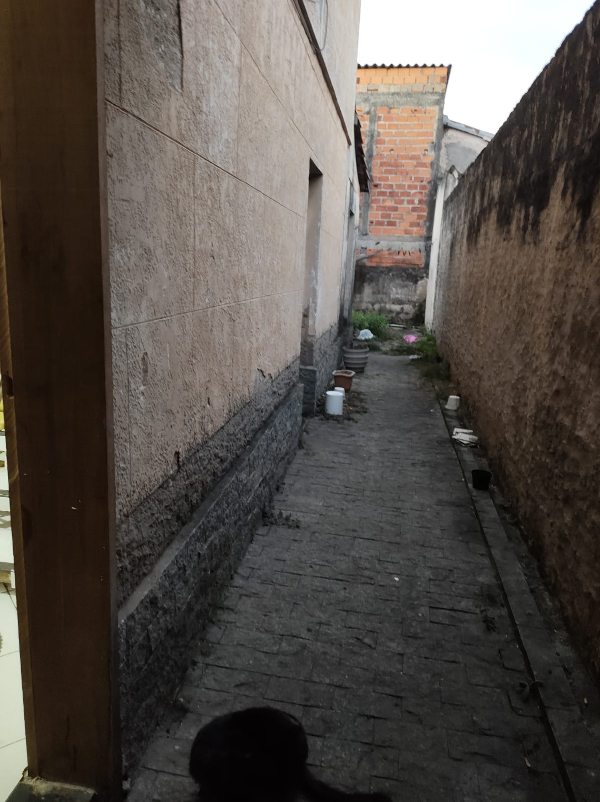 296075